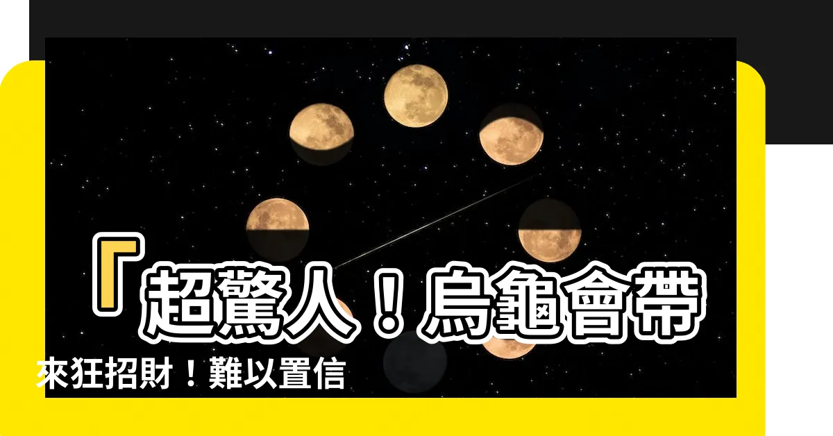【烏龜會招財嗎】「超驚人！烏龜會帶來狂招財！難以置信的五種寵物身兼吉祥物！」