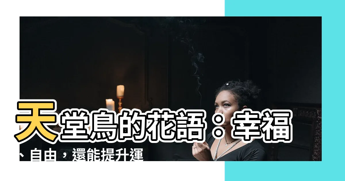 【天堂鳥的花語】天堂鳥的花語：幸福、自由，還能提升運勢！