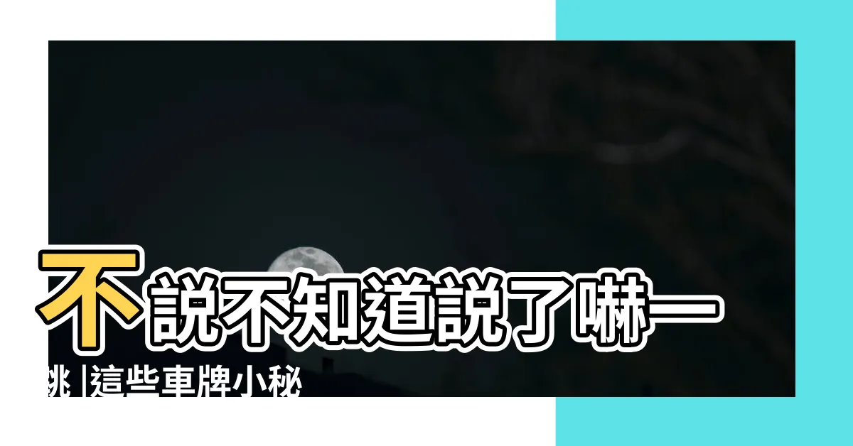【車牌 q】不説不知道説了嚇一跳 |這些車牌小秘密你都知道 |車牌的英文字Q是長這樣嗎 |