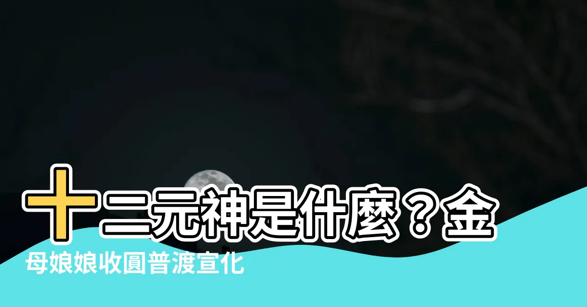 【十二元神是什麼】十二元神是什麼?金母娘娘收圓普渡宣化粉絲專頁帶你瞭解!