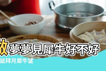 【夢見兩隻犀牛在天上飛】做夢夢見犀牛好不好 |老鼠拜月犀牛望月千秋月華洗眾心 |夢見兩隻沒見過的動物 |