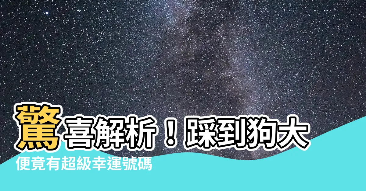 【踩到狗大便是幾號】驚喜解析！踩到狗大便竟有超級幸運號碼？！