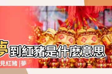 【夢見滿屋子紅色是什麼意思】夢到紅豬是什麼意思 |夢見紅豬 |夢見紅布是什麼意思 |