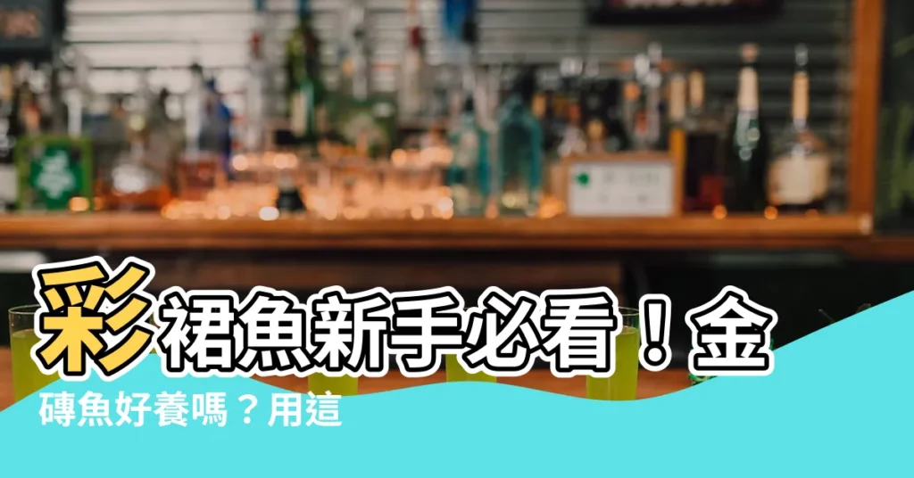 【金磚魚好養嗎】彩裙魚新手必看！金磚魚好養嗎？用這 3 招超簡單！