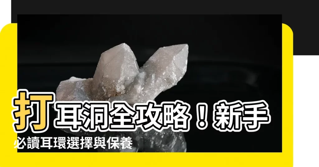 【打耳洞 耳環】打耳洞全攻略！新手必讀耳環選擇與保養秘訣