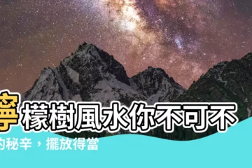 【檸檬樹風水】檸檬樹風水你不可不知的秘辛，擺放得當好運無極限！