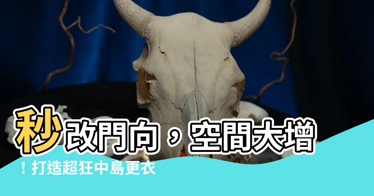 【改門方向】秒改門向，空間大增！打造超狂中島更衣室