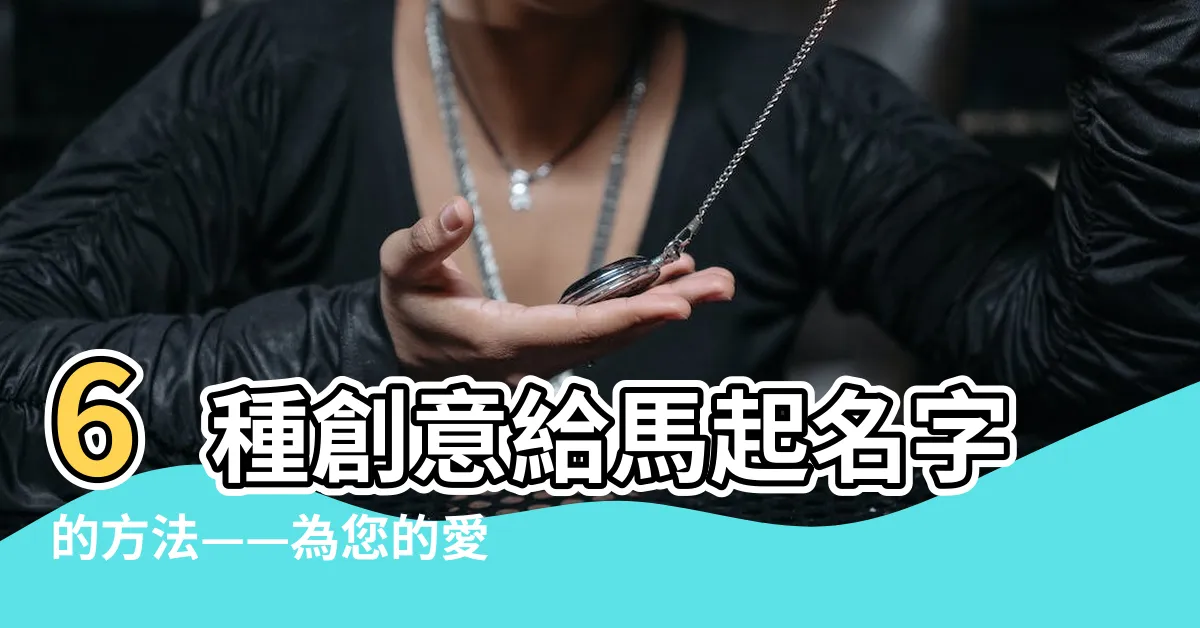 【馬名字】6種創意給馬起名字的方法——為您的愛馬取個特別的馬名