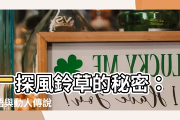 【風鈴草 花語】一探風鈴草的秘密：花語與動人傳説