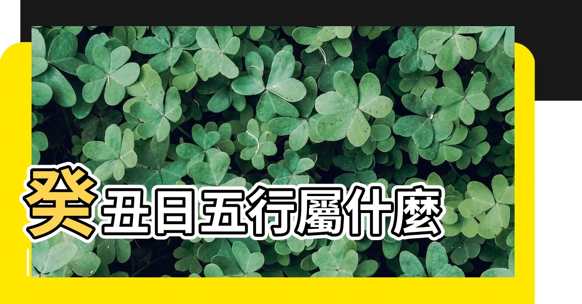 【癸丑五行】癸丑日五行屬什麼 |