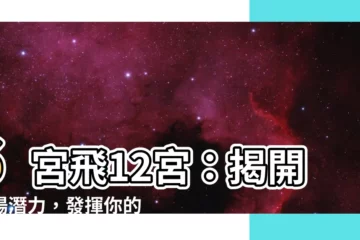【6宮飛12宮】6宮飛12宮：揭開職場潛力，發揮你的關鍵職能！