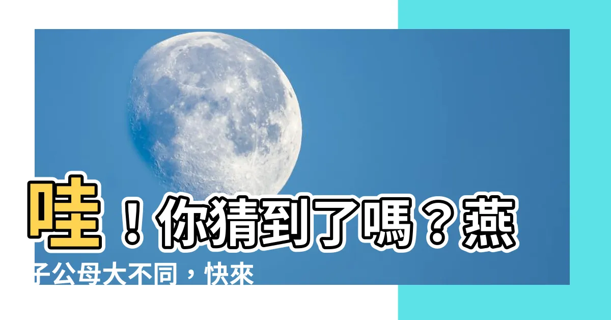 【燕子 公母】哇！你猜到了嗎？燕子公母大不同，快來輕鬆辨別一下！