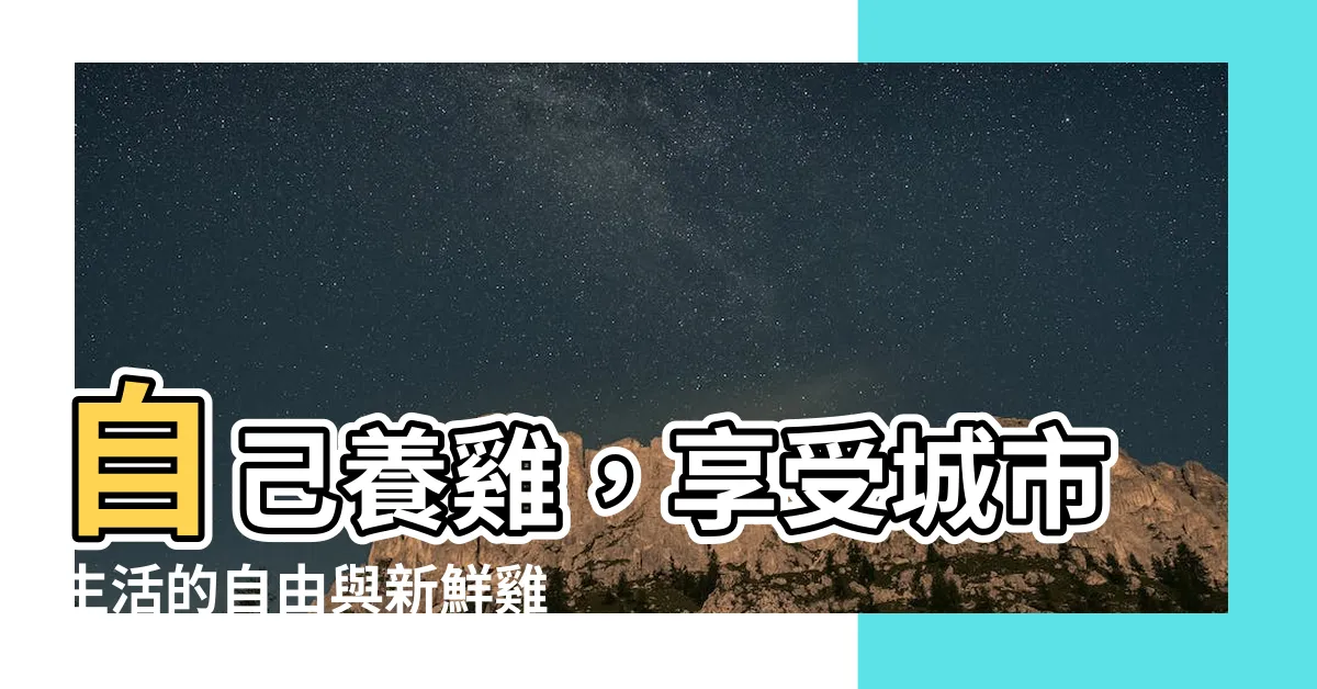 【自己養雞】自己養雞，享受城市生活的自由與新鮮雞蛋