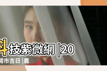 【正月初十吉時】科技紫微網 |2024開市吉日 |農民曆開市 |