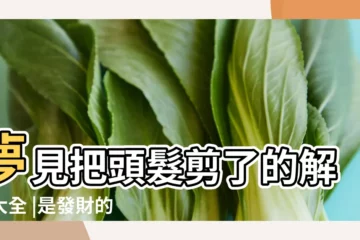【夢見差點兒剪頭髮】夢見把頭髮剪了的解夢大全 |是發財的徵兆嗎 |周公解夢 |