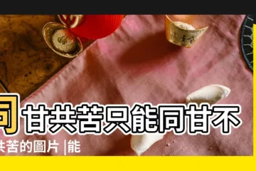 【只能同甘不能同苦圖片】同甘共苦只能同甘不能共苦的圖片 |能同甘不能共苦的圖片 |只能共苦不能同甘的女人 |
