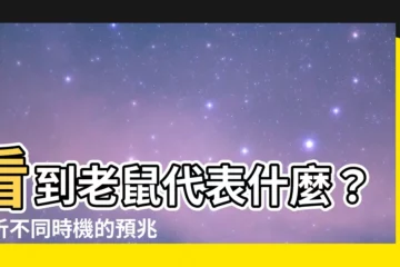 【看到老鼠代表】看到老鼠代表什麼？解析不同時機的預兆！