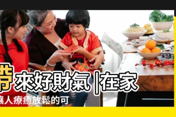 【客廳適合養的小型植物】帶來好財氣 |在家就讓人療癒放鬆的可愛植物 |開花類推介 |