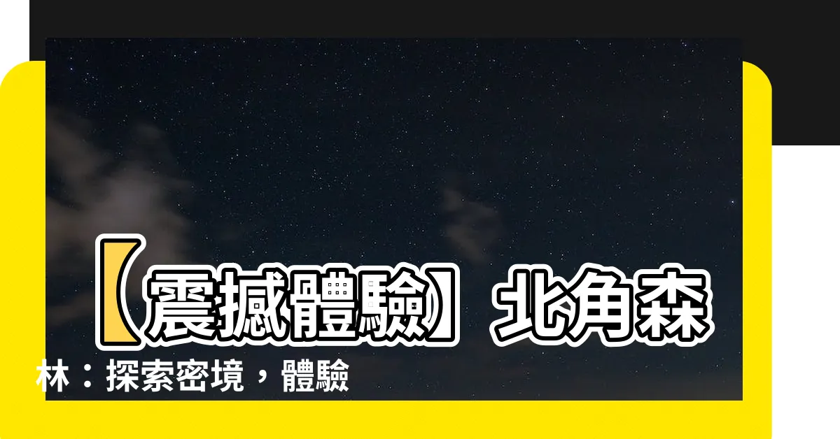 【北角森林】【震撼體驗】北角森林：探索密境，體驗清新空氣！