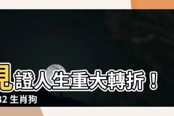 【1982 生肖】見證人生重大轉折！1982 生肖狗 2023 年運勢大揭秘