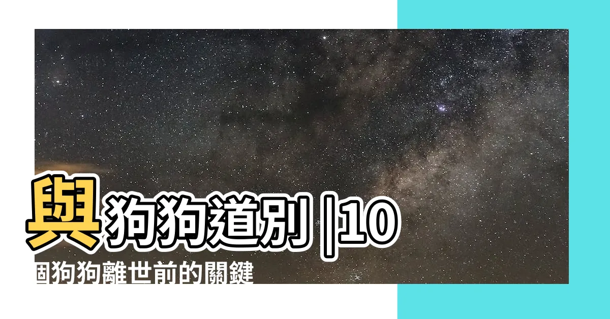 【狗狗死掉】與狗狗道別 |10個狗狗離世前的關鍵徵兆做好準備陪伴狗狗行到生命盡頭 |家中寵物 |