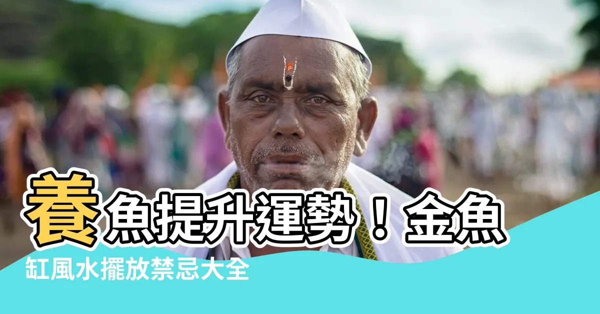 【金魚缸風水】養魚提升運勢！金魚缸風水擺放禁忌大全