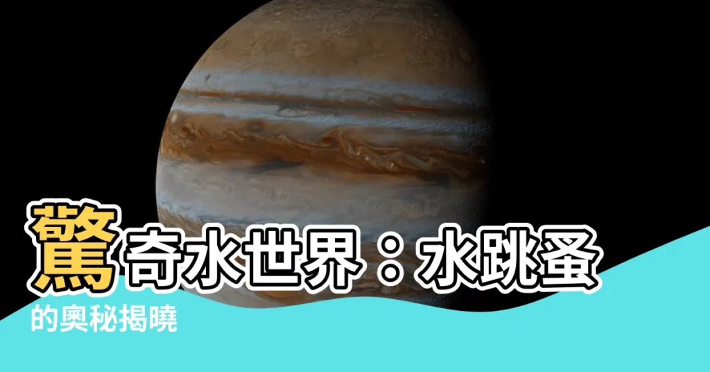 【水跳蚤】驚奇水世界:水跳蚤的奧秘揭曉