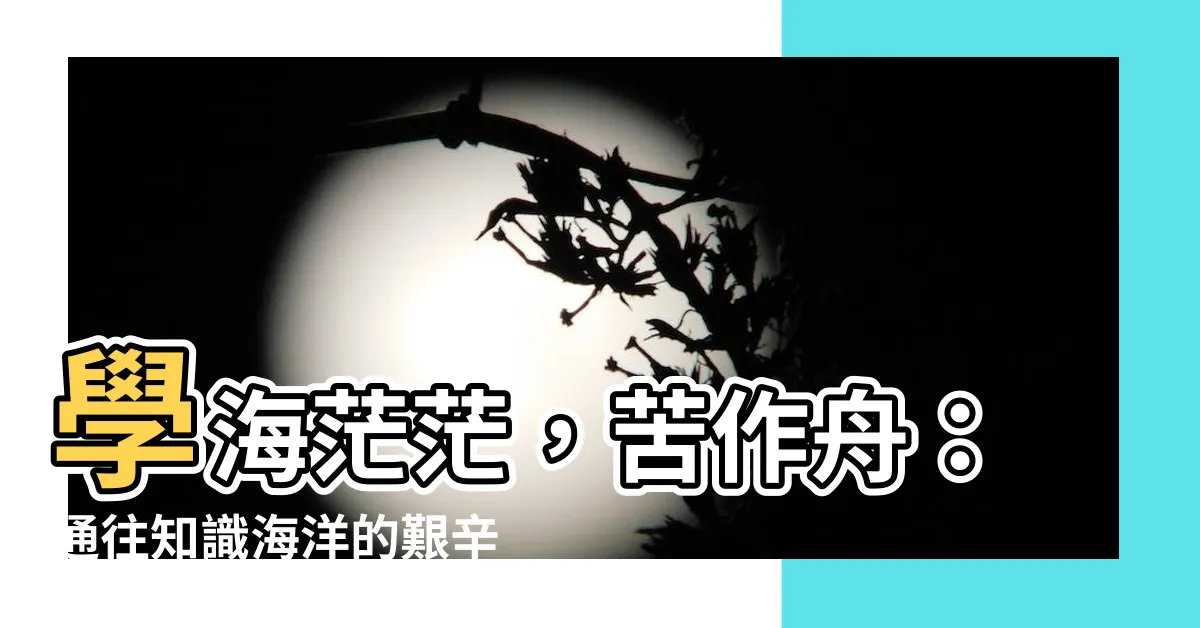 【苦作舟】學海茫茫，苦作舟：通往知識海洋的艱辛之路