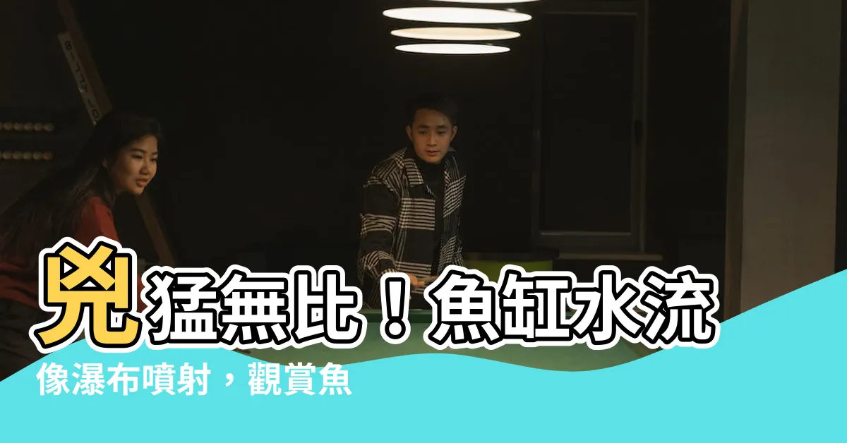 【魚缸水流太強】兇猛無比！魚缸水流像瀑布噴射，觀賞魚飛身避難笑翻眾人！
