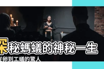 【螞蟻的一生】探秘螞蟻的神秘一生：從卵到工蟻的驚人演變