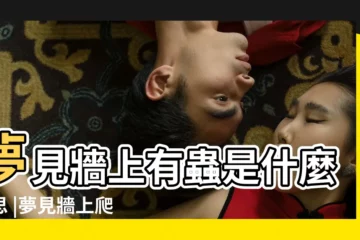 【夢見牆上長出蟲子】夢見牆上有蟲是什麼意思 |夢見牆上爬滿蟲子 |夢見牆上有蟲子 |