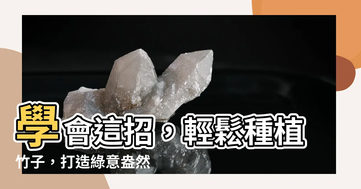 【種植竹子】學會這招，輕鬆種植竹子，打造綠意盎然的花園！