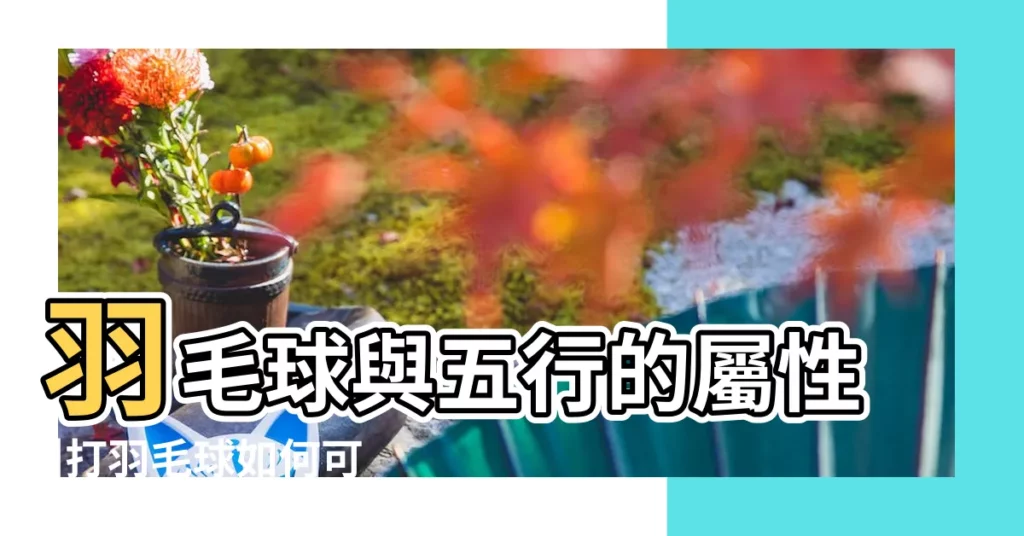 羽毛球與五行的屬性 |打羽毛球如何可以越打越好運呢 |羽毛球與五行的屬性 |【羽毛球運動五行屬性】