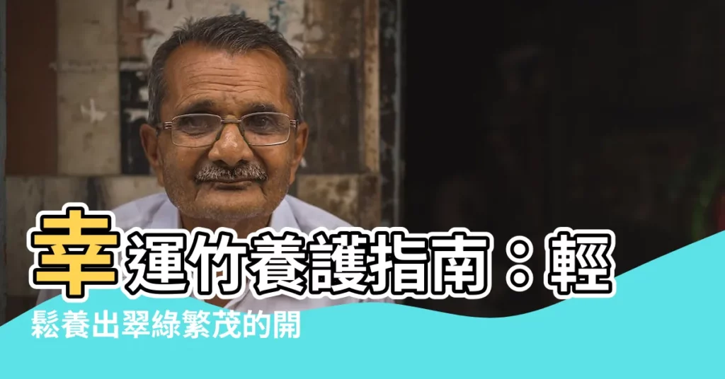 【幸運竹怎麼養】幸運竹養護指南：輕鬆養出翠綠繁茂的開運竹