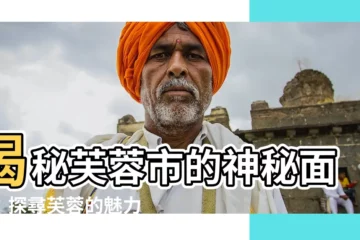 【芙蓉】揭秘芙蓉市的神秘面紗：探尋芙蓉的魅力
