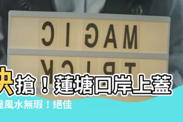 【蓮塘口岸上蓋樓盤】快搶！蓮塘口岸上蓋樓盤風水無瑕！絕佳投資時機