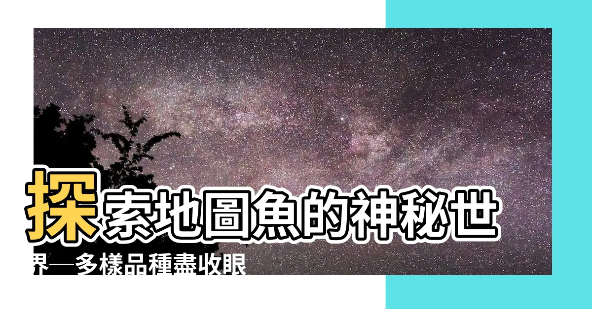 【地圖魚】探索地圖魚的神秘世界─多樣品種盡收眼底！