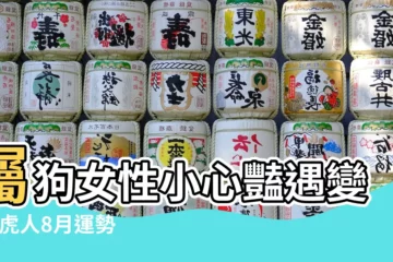 【18年屬虎人8月份運勢】屬狗女性小心豔遇變 |屬虎人8月運勢綜合播報 |十二生肖 |