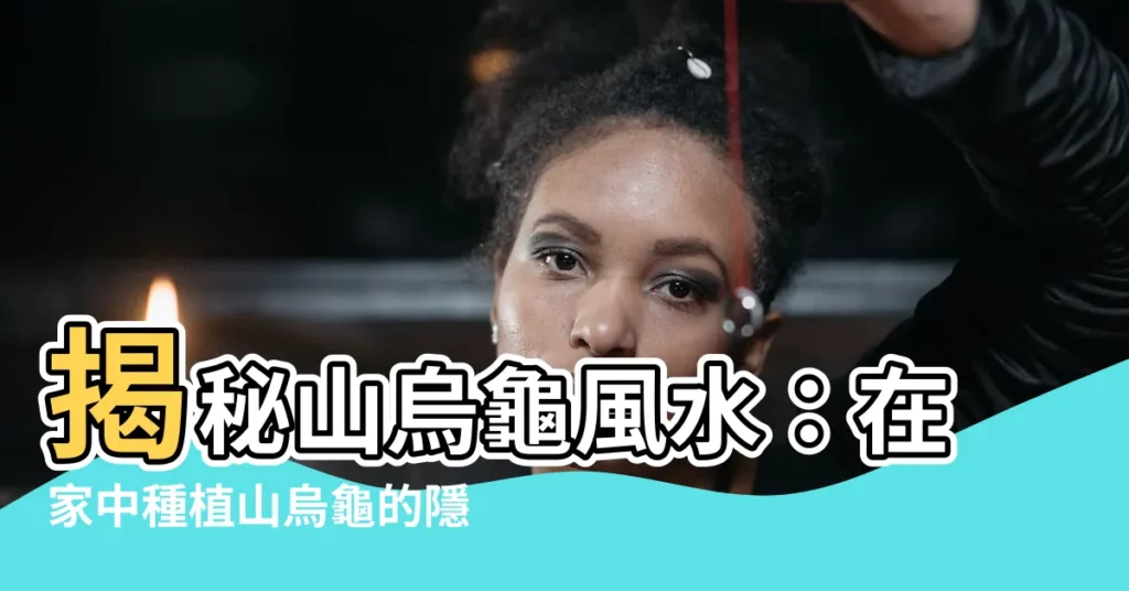 【山烏龜 風水】揭秘山烏龜風水：在家中種植山烏龜的隱藏風水寓意和禁忌