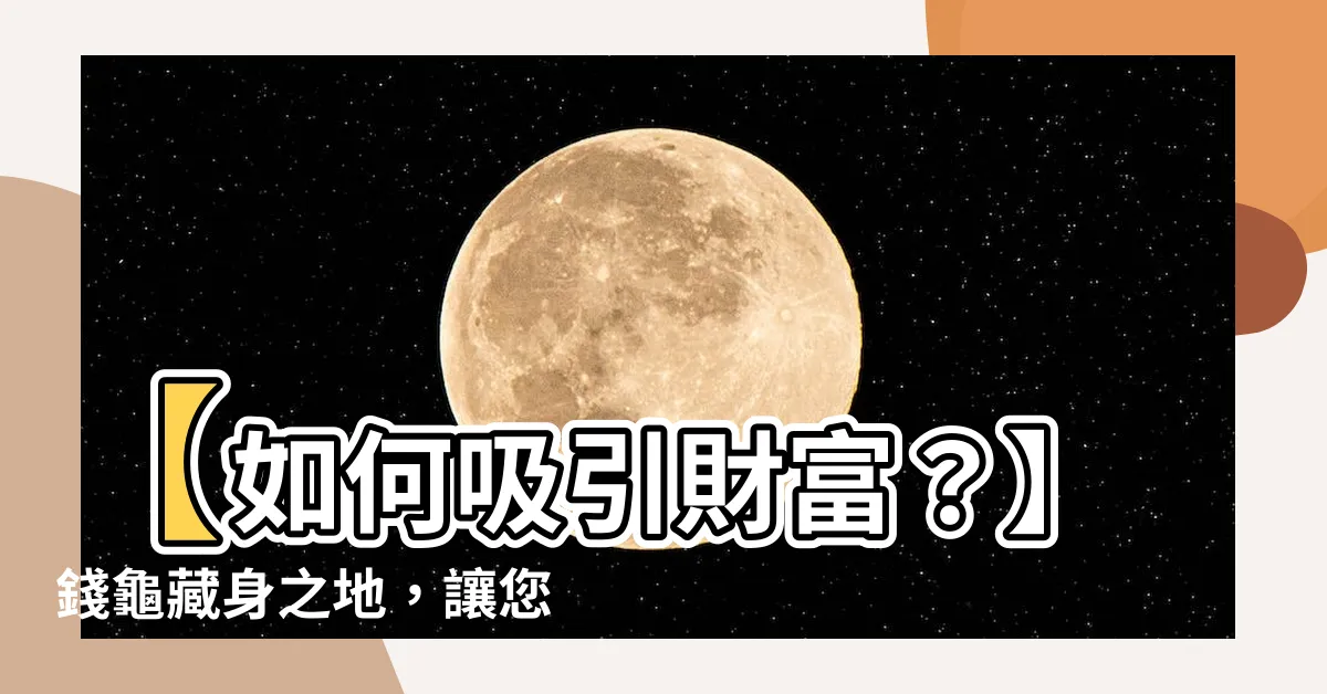【錢龜放哪裡】【如何吸引財富？】錢龜藏身之地，讓您源源不絕的財富充盈！