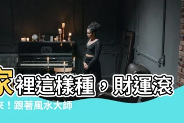 【風水樹有哪些】家裡這樣種，財運滾滾來！跟著風水大師挑選旺財風水樹