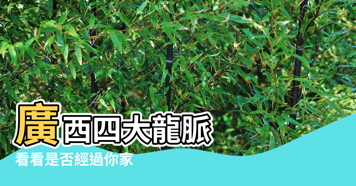 【風水大師點評廣西風水四條大龍脈】廣西四大龍脈 |看看是否經過你家 |這些地方盡出濟世人才 |