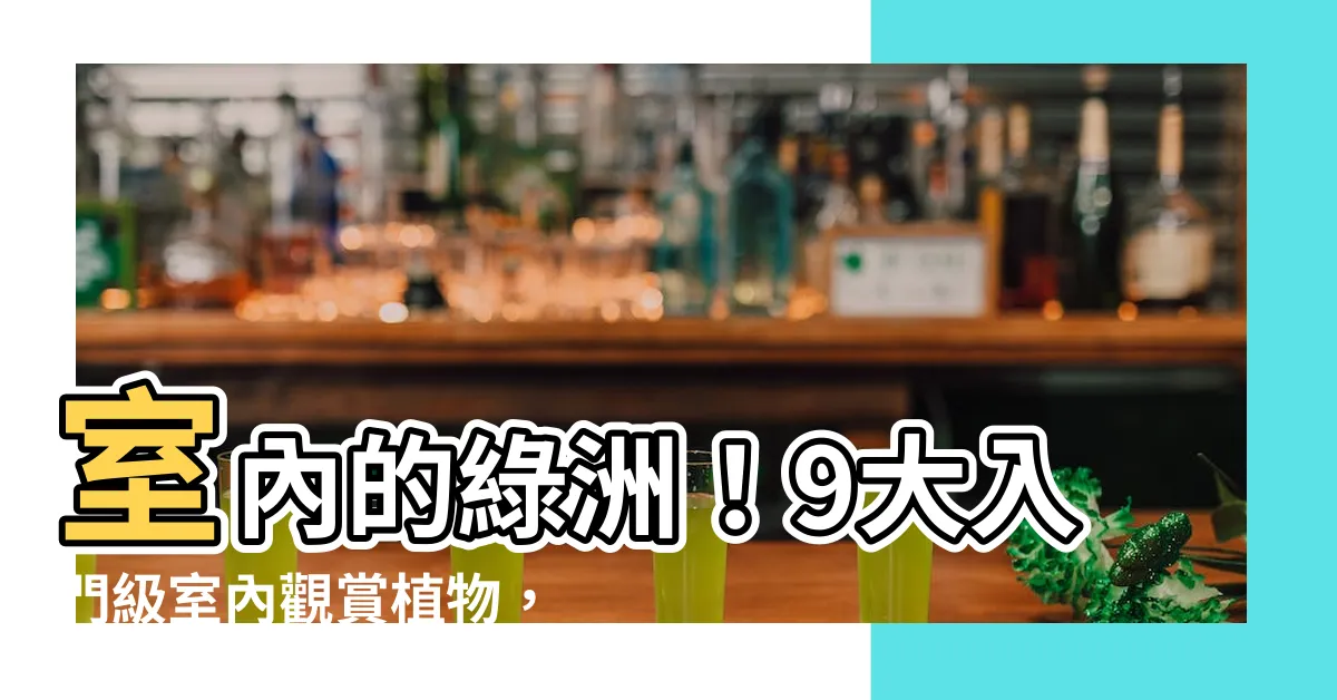 【適合室內的盆栽】室內的綠洲！9大入門級室內觀賞植物，生活質感瞬間提升