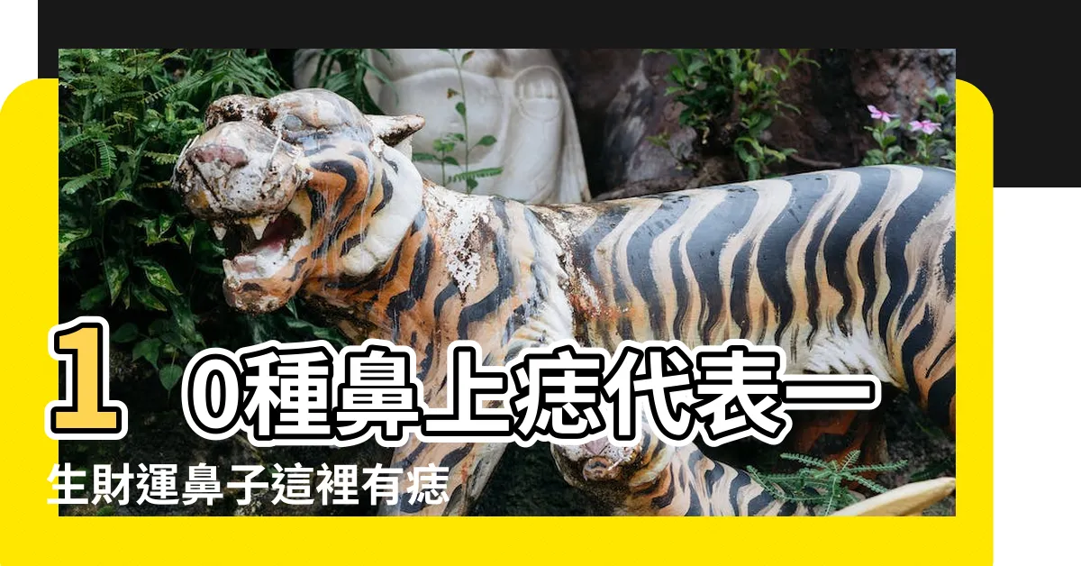 【鼻翼下方有痣】10種鼻上痣代表一生財運鼻子這裡有痣是投資高手 |女人左鼻翼下方有痣痣相特徵很好 |鼻子下面有痣代表什麼鼻子下邊有痣圖解女生 |