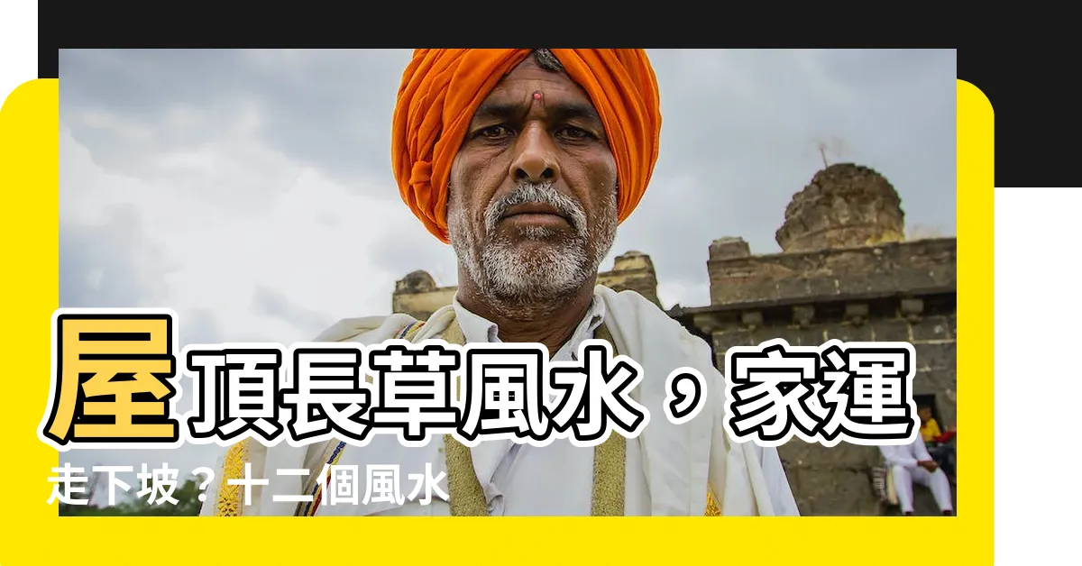 【屋頂長草風水】屋頂長草風水,家運走下坡?十二個風水徵兆快檢查!