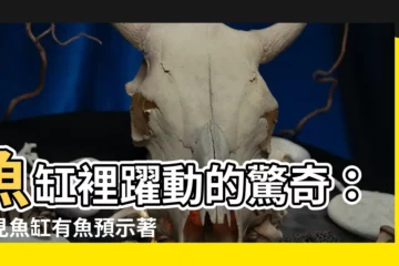 【夢見魚缸有魚】魚缸裡躍動的驚奇：夢見魚缸有魚預示著什麼？