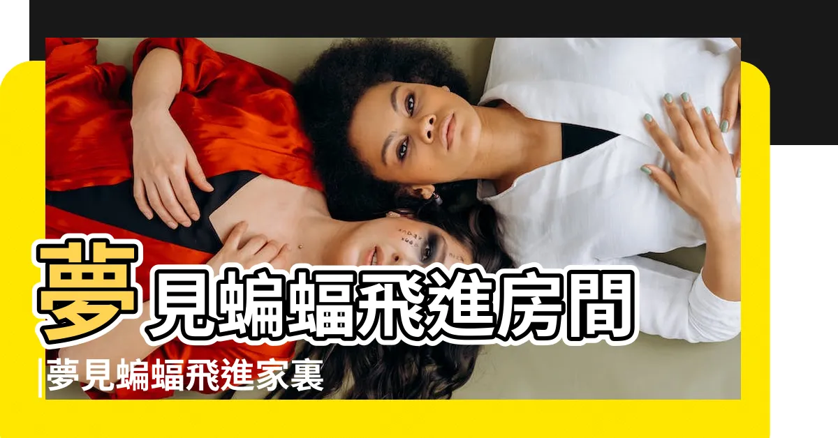 【夢見蝙蝠飛進家裡】夢見蝙蝠飛進房間 |夢見蝙蝠飛進家裏 |夢見蝙蝠飛進家裡 |