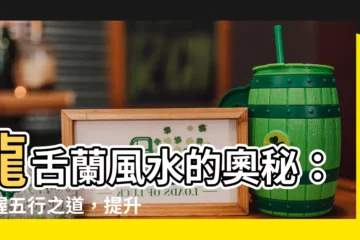 【龍舌蘭 風水】龍舌蘭風水的奧秘：掌握五行之道，提升運勢！