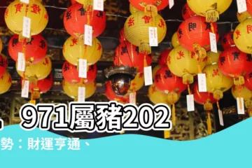 【1971屬豬2024運勢】1971屬豬2024運勢：財運亨通、姻緣美滿