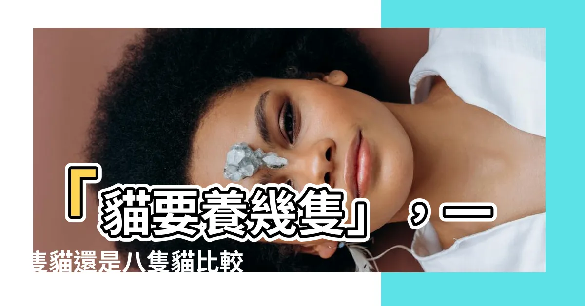 【貓要養幾隻】「貓要養幾隻」，一隻貓還是八隻貓比較好？迷人的真相大揭露！